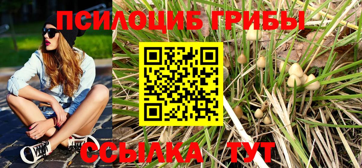 Галлюциногенные грибы Magic Shrooms Москва
