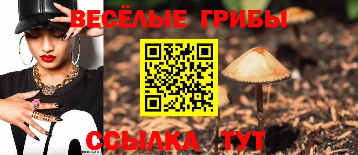 Москва  Псилоцибиновые грибы GOLDEN TEACHER  Вход с VPN 